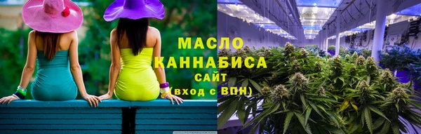 молекула духа Дмитров