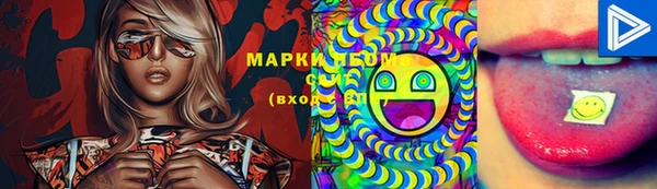 мет Дмитриев