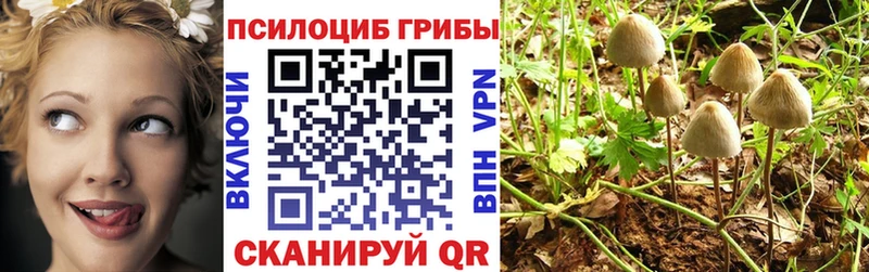 Псилоцибиновые грибы Cubensis  купить наркотик  площадка как зайти  Троицк 