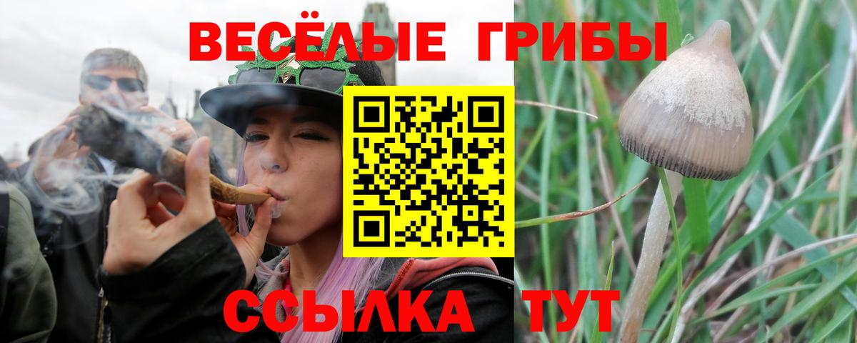 Псилоцибиновые грибы Cubensis  Вход с VPN  Троицк 